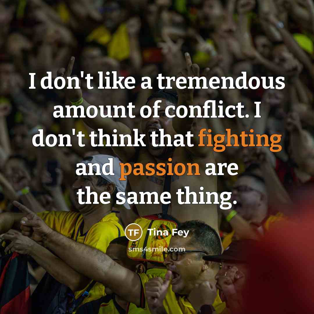 “I don't like a tremendous amount of conflict. I don't…” quote by Tina Fey