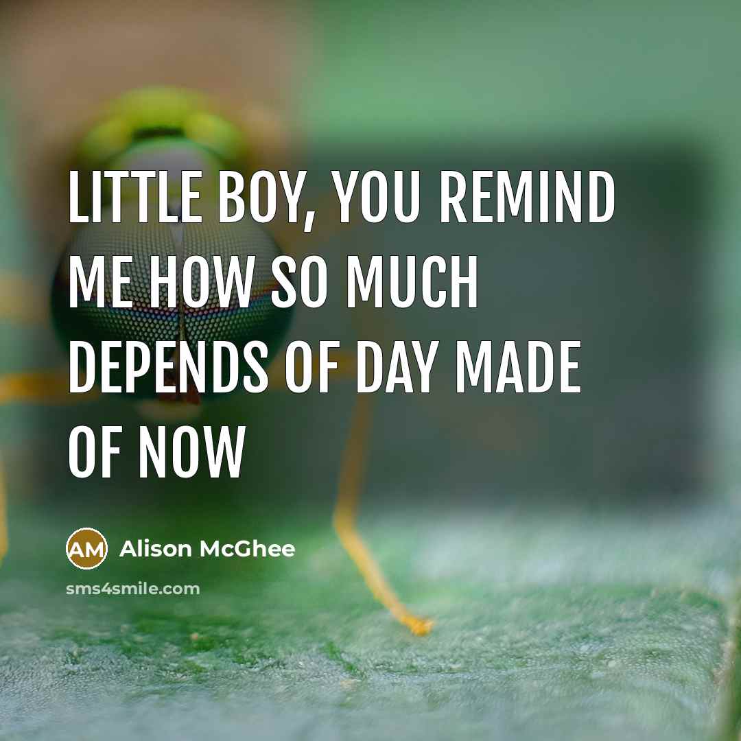 “Little boy, you remind me how so much depends of…” quote by Alison McGhee