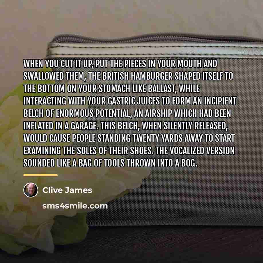 “When you cut it up, put the pieces in your…” quote by Clive James