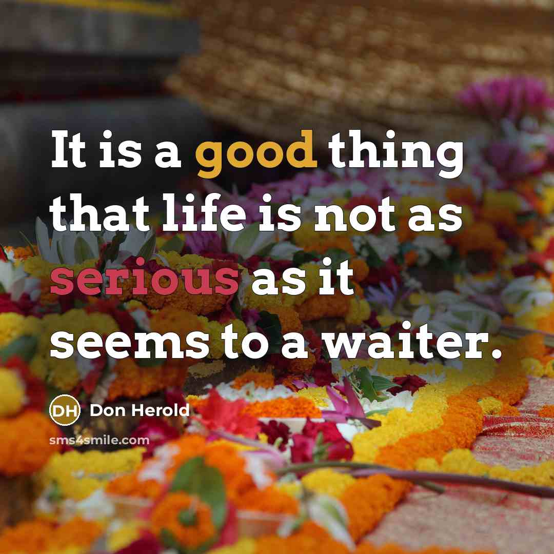 “It is a good thing that life is not as…” quote by Don Herold