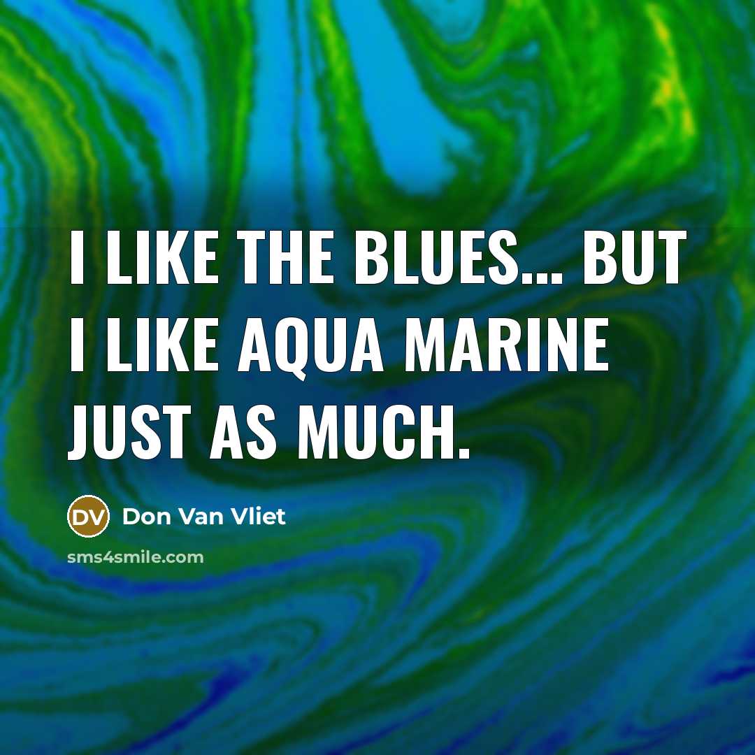 “I like the blues..... but I like aqua marine just…” quote by Don Van Vliet