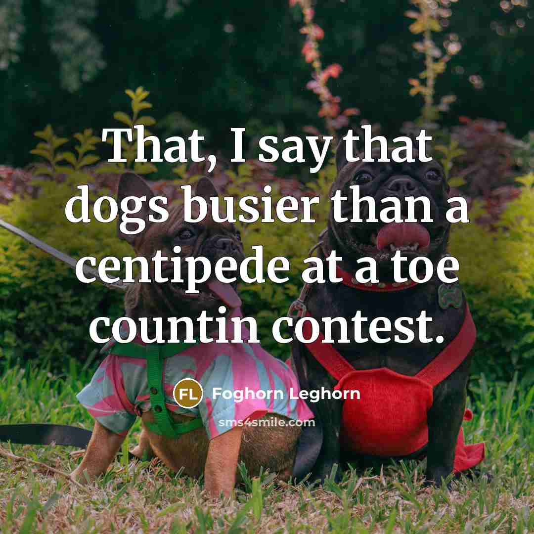 “That, I say that dogs busier than a centipede at…” quote by Foghorn Leghorn