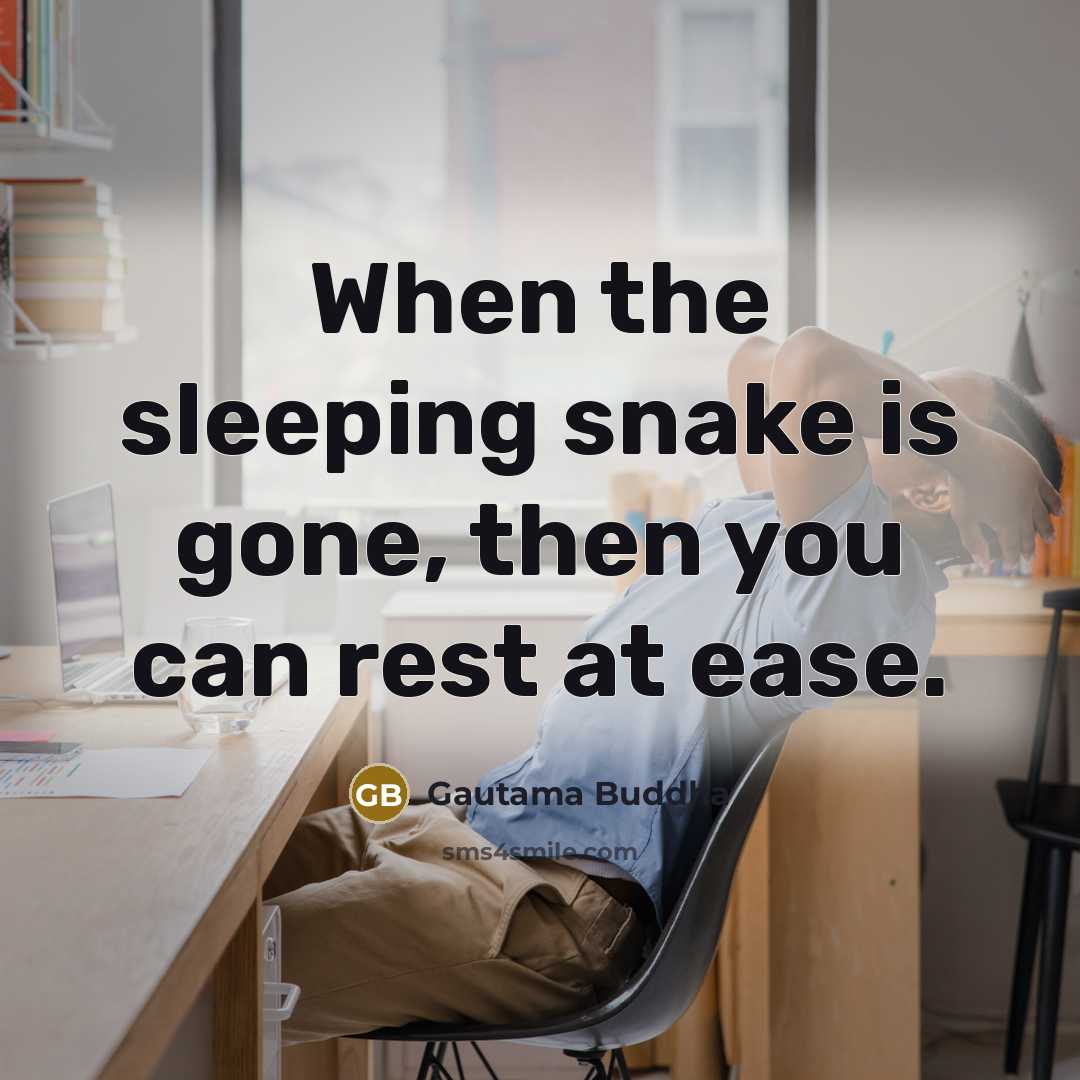 “When the sleeping snake is gone, then you can rest…” quote by Gautama Buddha