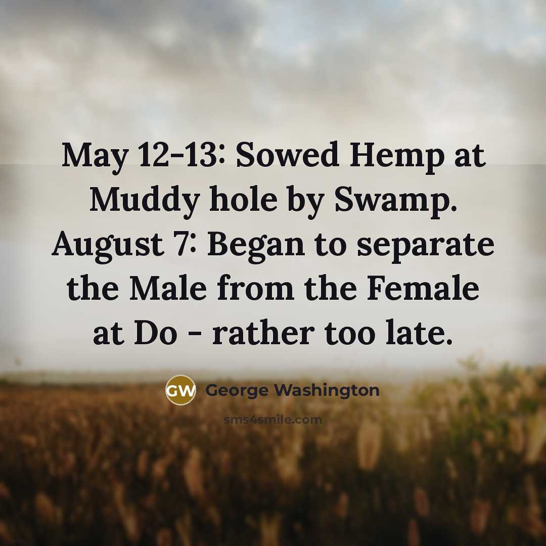 “May 12-13: Sowed Hemp at Muddy hole by Swamp. August…” quote by George Washington