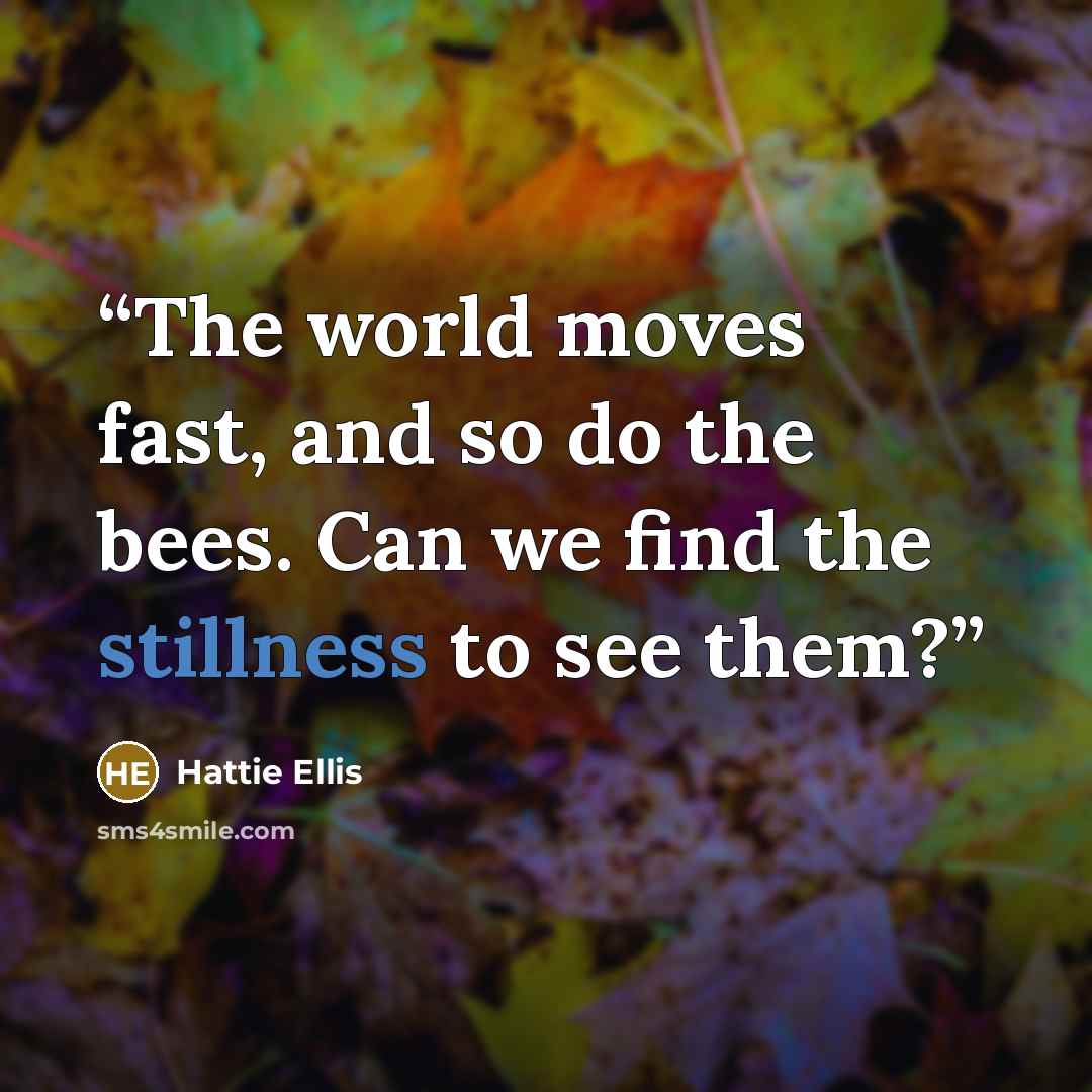“The world moves fast, and so do the bees. Can we find the stillness to see them?” quote by Hattie Ellis