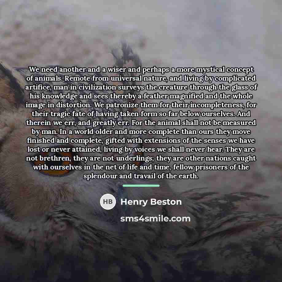 “We need another and a wiser and perhaps a more…” quote by Henry Beston
