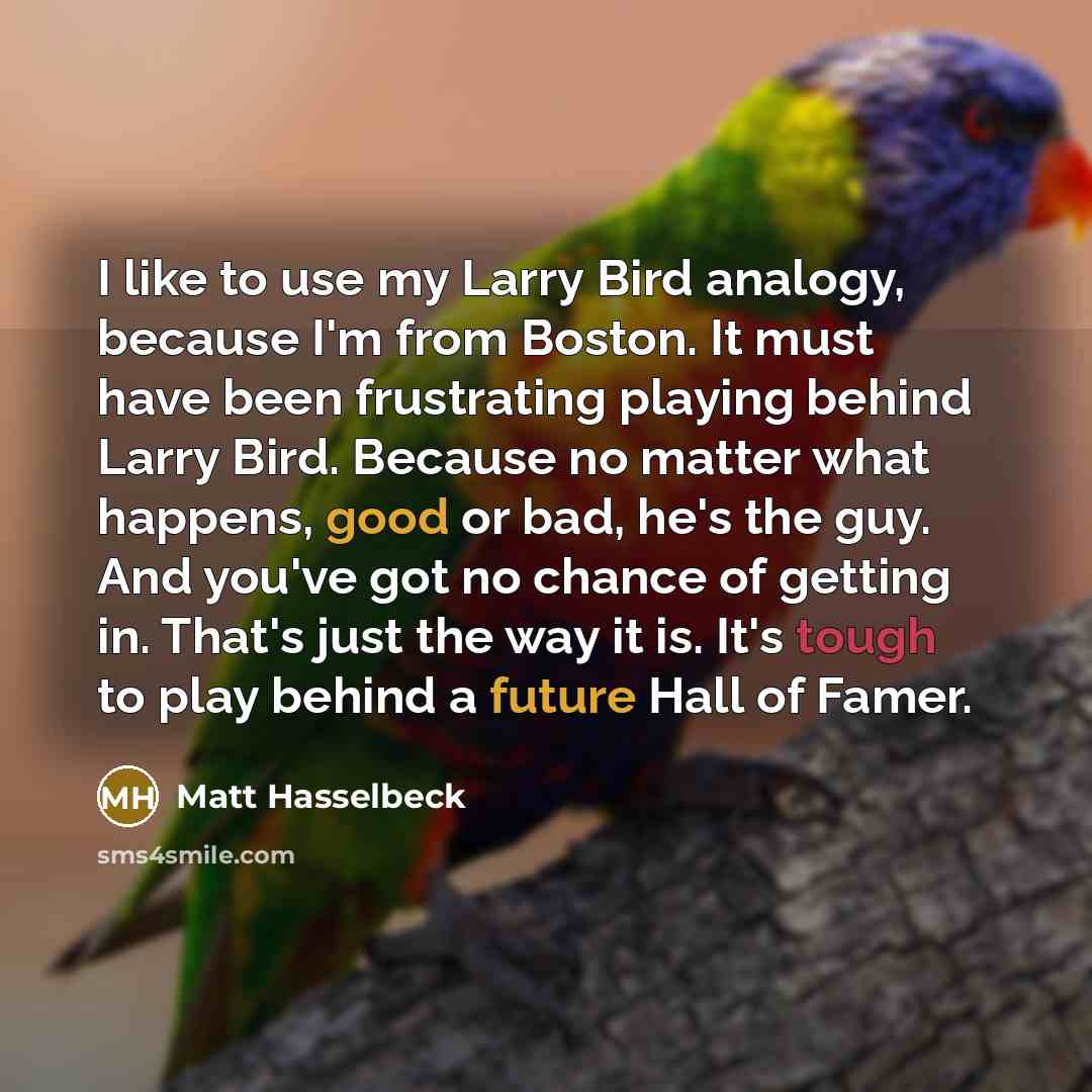 “I like to use my Larry Bird analogy, because I'm…” quote by Matt Hasselbeck