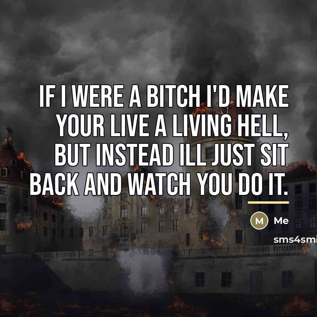 “If I were a bitch I'd make your live a…” quote by ME