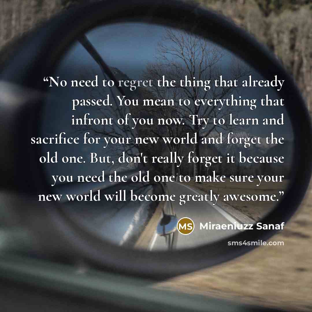 “No need to regret the thing that already passed. You mean to everything that infront of you now. Try to learn and sacrifice for your new world and forget the old one. But, don't really forget it because you need the old one to make sure your new world will become greatly awesome.” quote by Miraeniuzz Sanaf