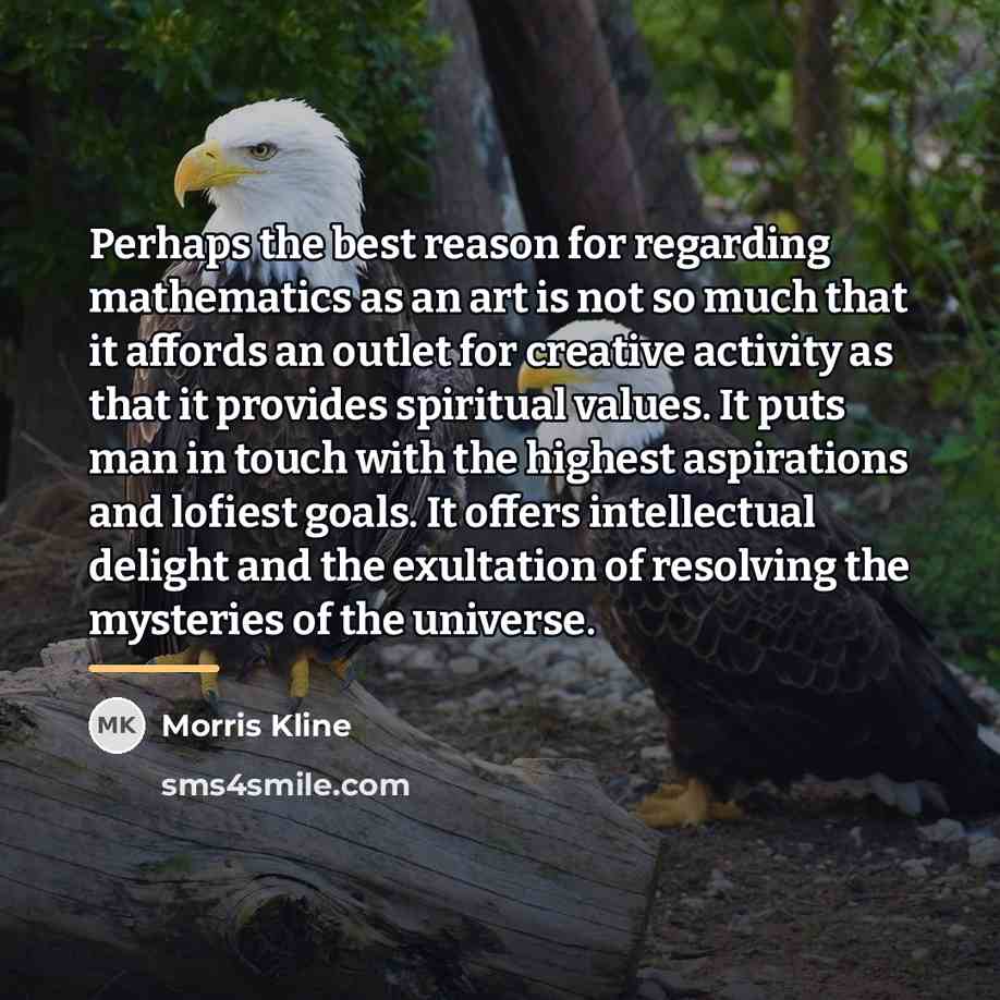 “Perhaps the best reason for regarding mathematics as an art…” quote by Morris Kline