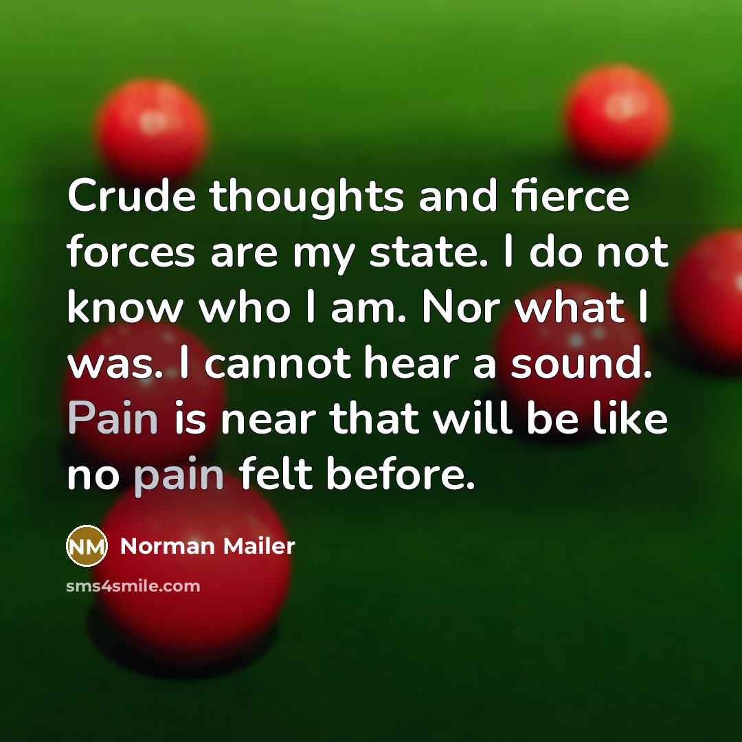“Crude thoughts and fierce forces are my state. I do…” quote by Norman Mailer