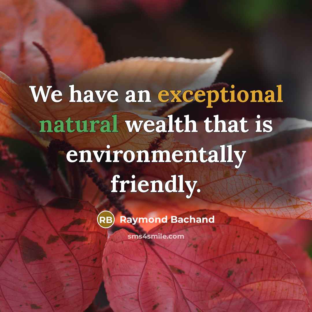 “We have an exceptional natural wealth that is environmentally friendly.” quote by Raymond Bachand