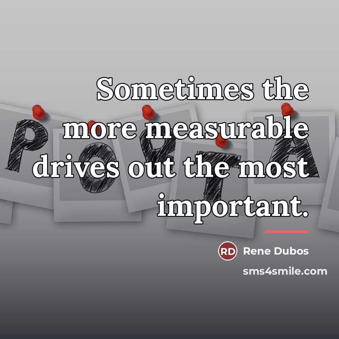 “Sometimes the more measurable drives out the most important.…” quote by Rene Dubos