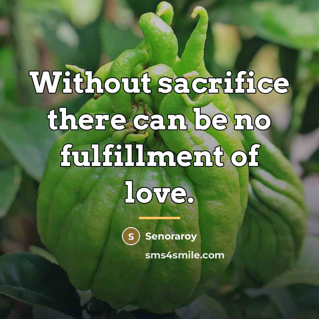 “Without sacrifice there can be no fulfillment of love.…” quote by Senoraroy