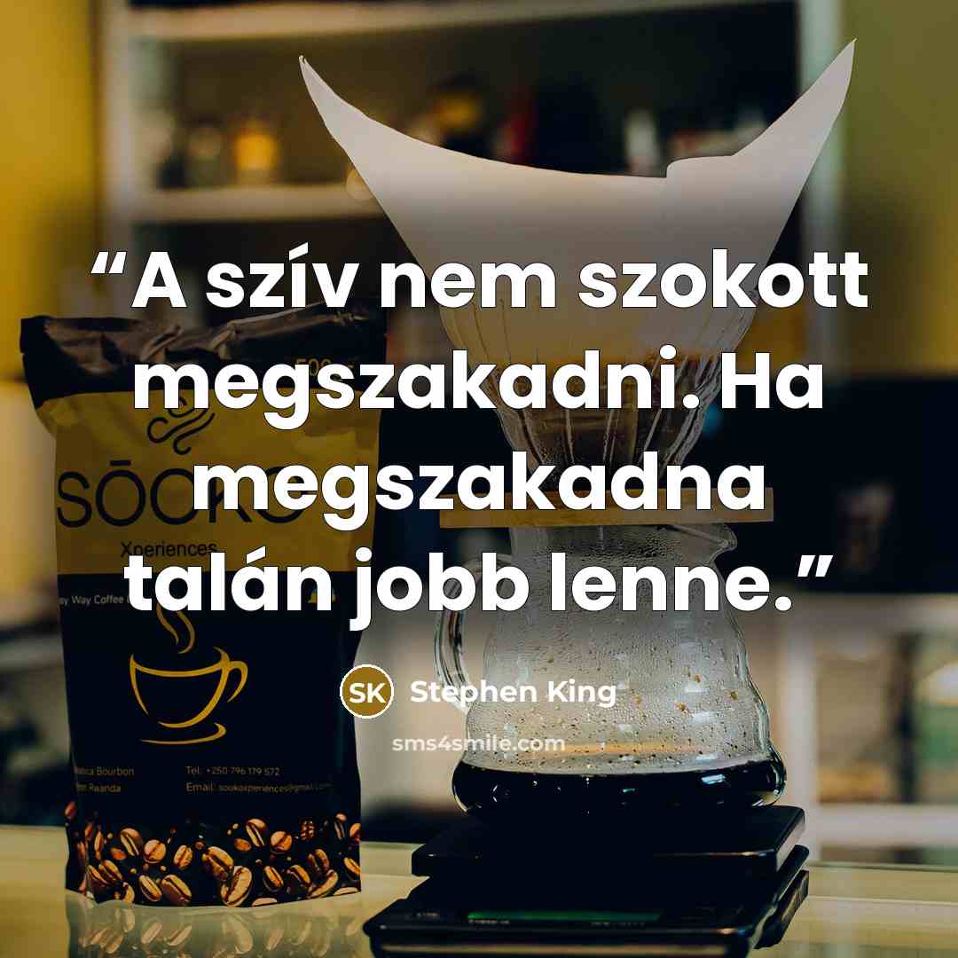 “A szív nem szokott megszakadni. Ha megszakadna talán jobb lenne.” quote by Stephen King