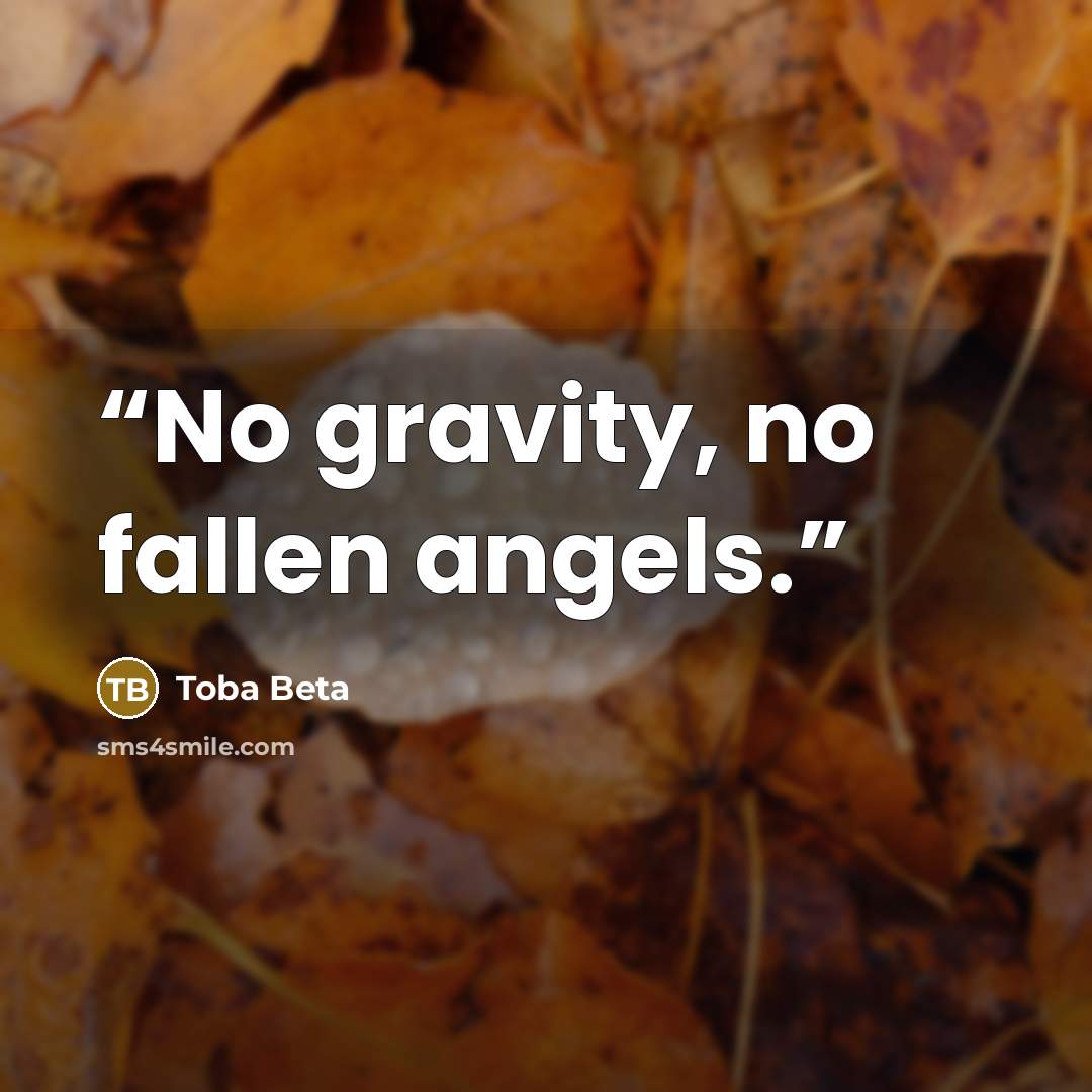 “No gravity, no fallen angels.” quote by Toba Beta