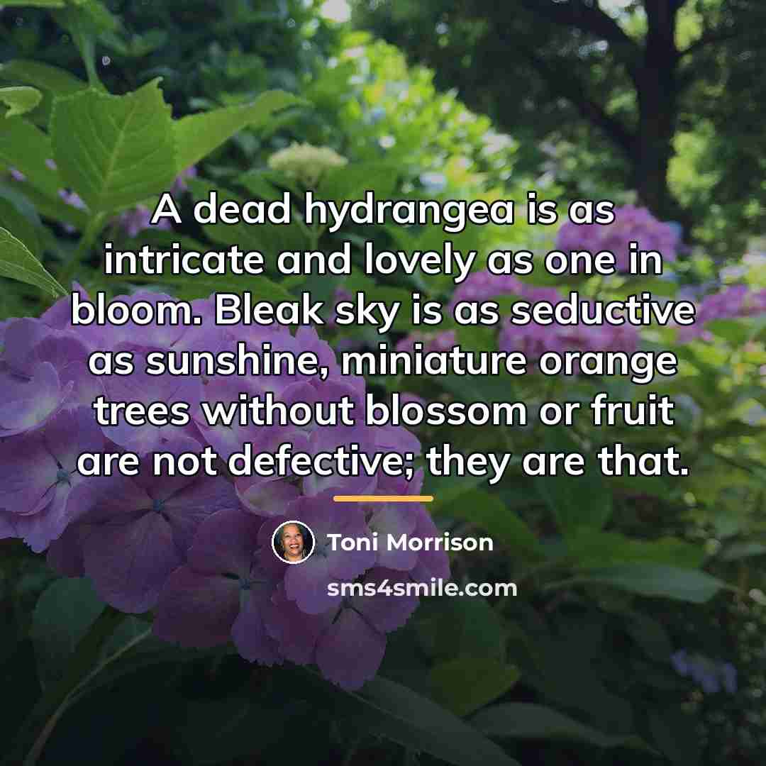 “A dead hydrangea is as intricate and lovely as one…” quote by Toni Morrison