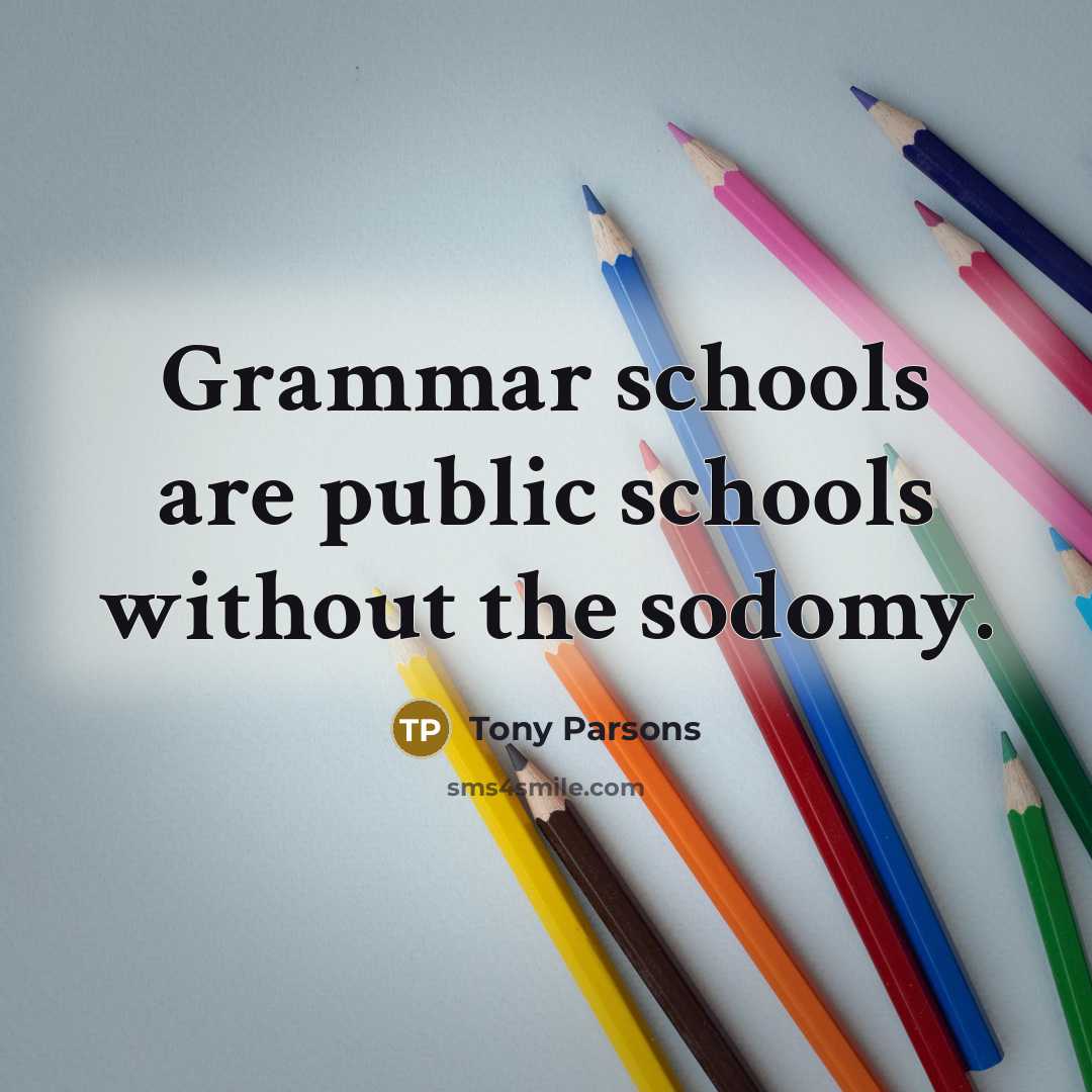 “Grammar schools are public schools without the sodomy.…” quote by Tony Parsons