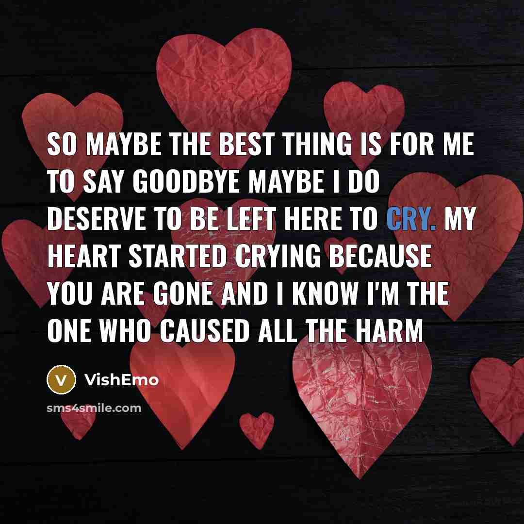 “So maybe the best thing Is for me to say…” quote by VishEmo
