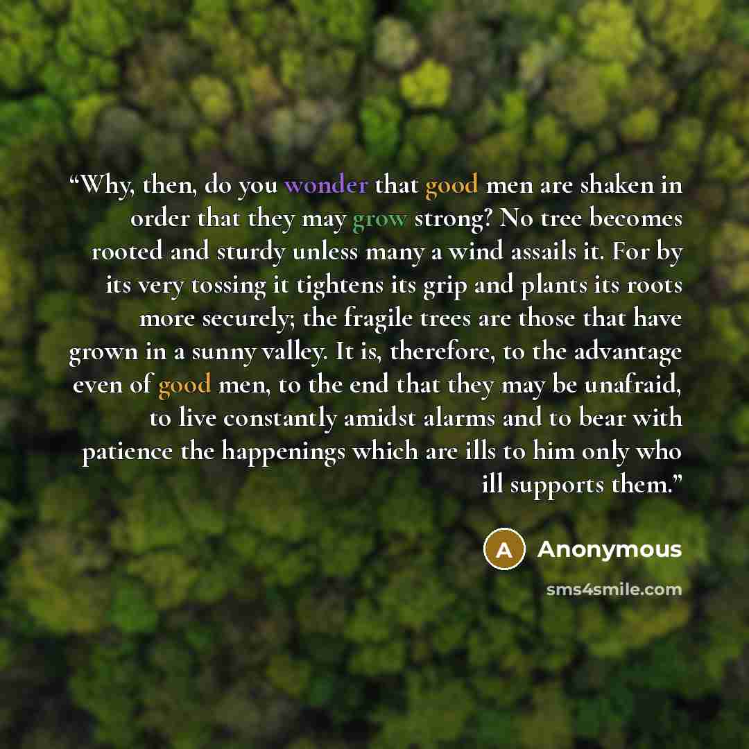 “Why, then, do you wonder that good men are shaken in order that they may grow strong? No tree becomes rooted and sturdy unless many a wind assails it. For by its very tossing it tightens its grip and plants its roots more securely; the fragile trees are those that have grown in a sunny valley. It…” quote by Anonymous