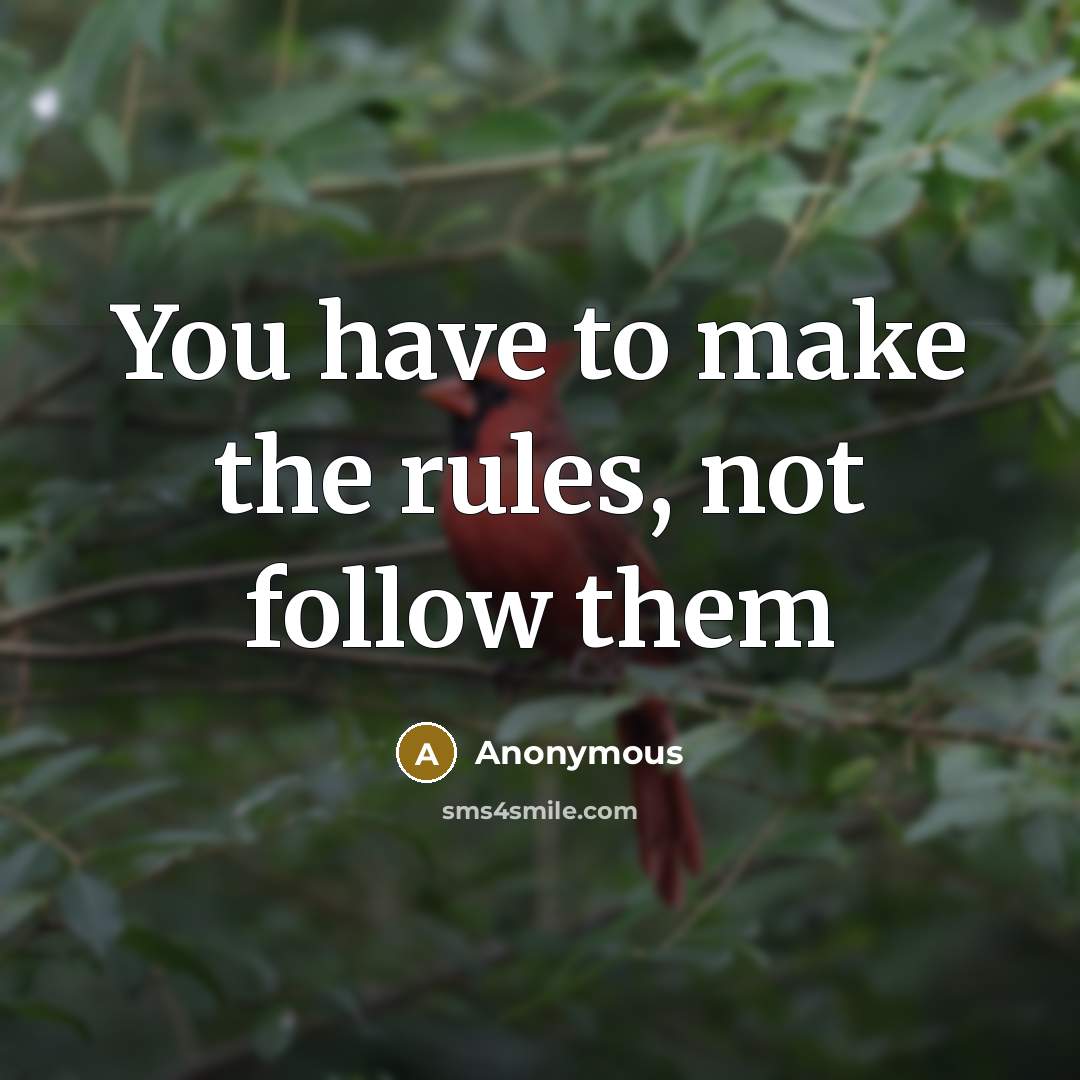 “You have to make the rules, not follow them…” quote by Anonymous