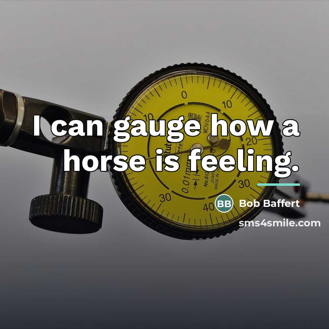 “I can gauge how a horse is feeling.…” quote by Bob Baffert