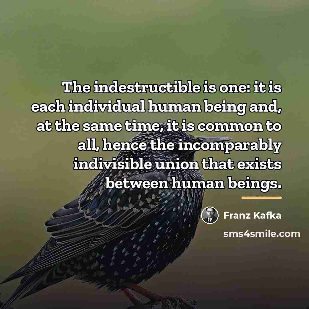 “The indestructible is one: it is each individual human being…” quote by Franz Kafka