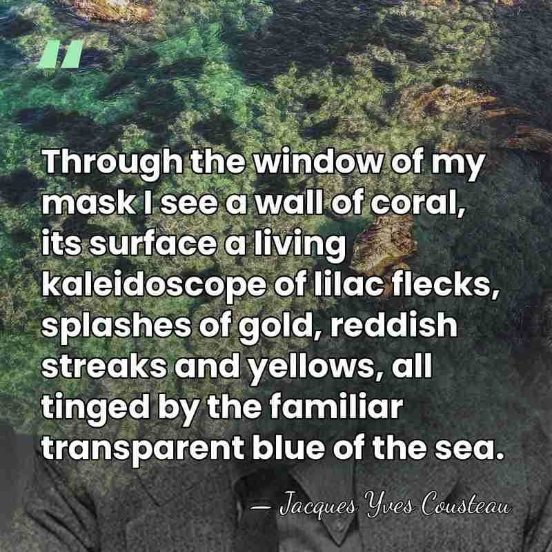 Through the window of my mask I see a wall of coral,&hellip; - Jacques Yves Cousteau