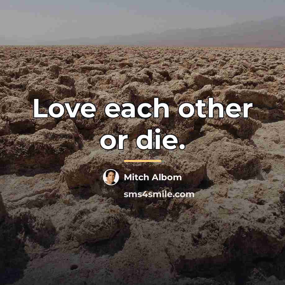 “Love each other or die.…” quote by Mitch Albom