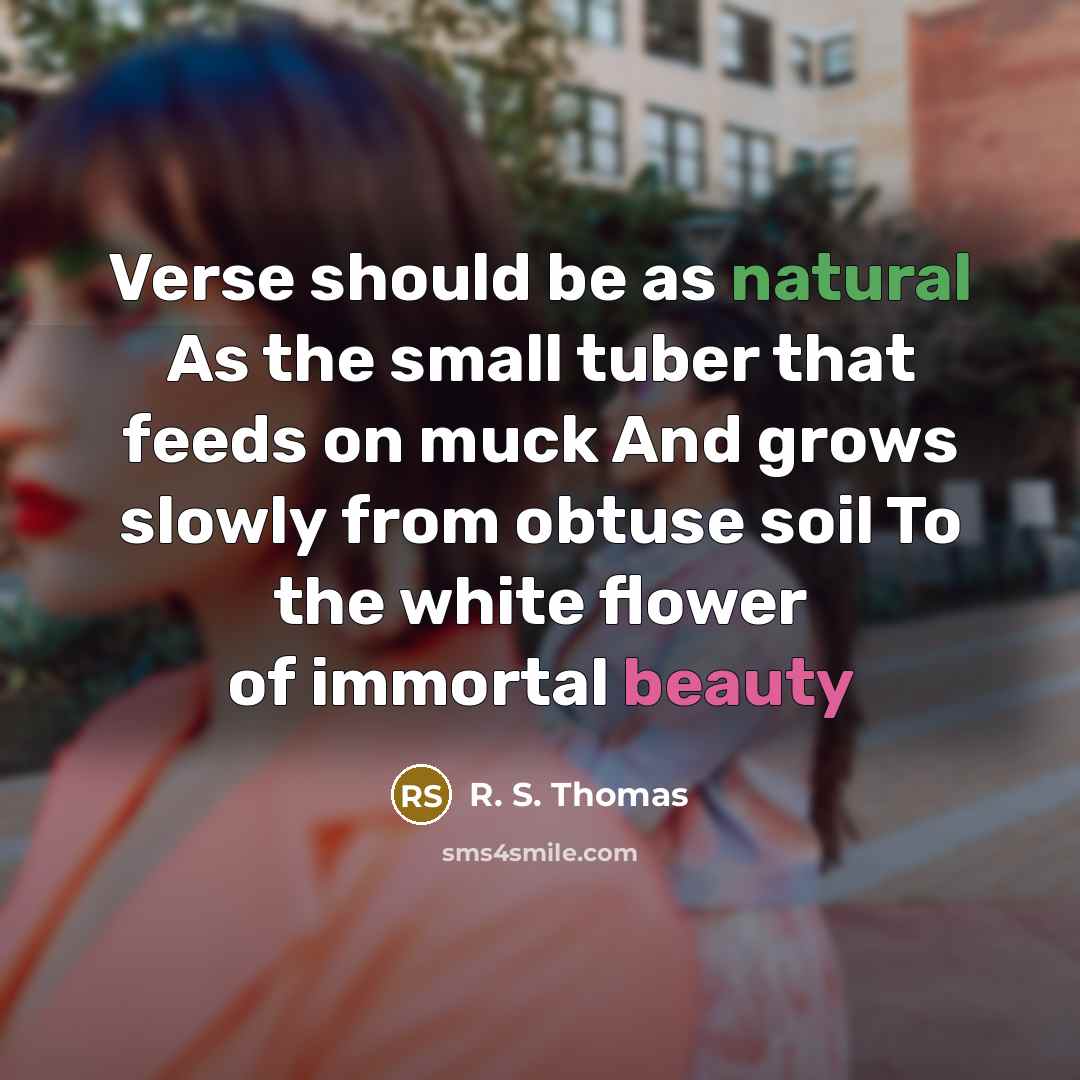 “Verse should be as natural As the small tuber that…” quote by R. S. Thomas