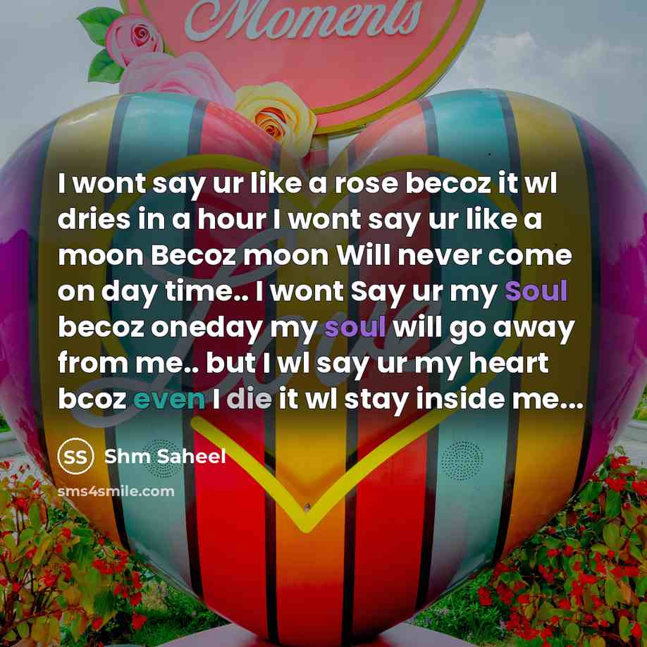 “I wont say ur like a rose becoz it wl…” quote by Shm Saheel