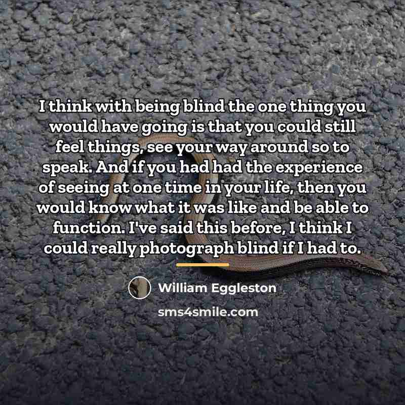 “I think with being blind the one thing you would…” quote by William Eggleston