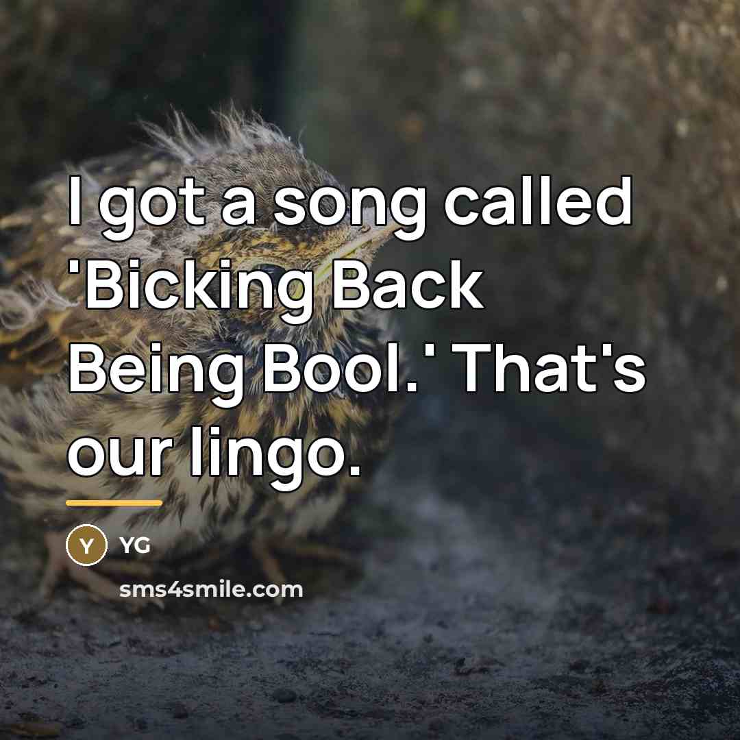 “I got a song called 'Bicking Back Being Bool.' That's…” quote by YG
