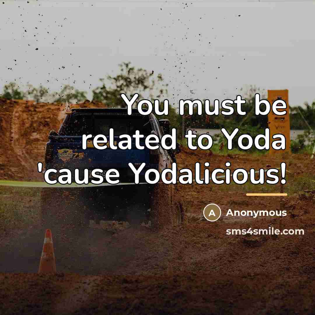 “You must be related to Yoda 'cause Yodalicious!…” quote by Anonymous