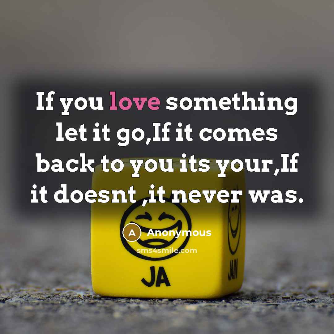 “If you love something let it go,If it comes back…” quote by Anonymous
