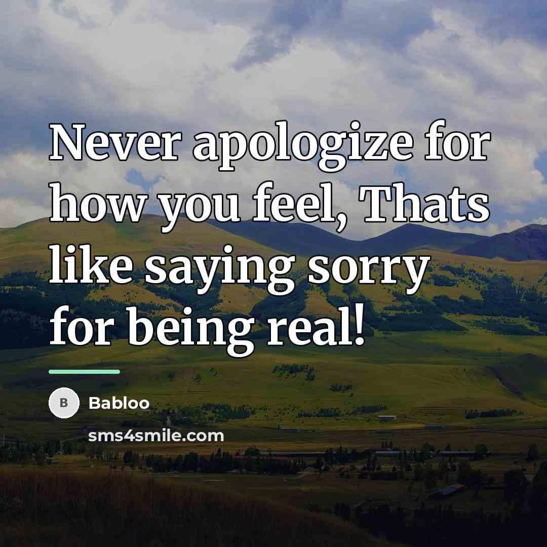 “Never apologize for how you feel, Thats like saying sorry…” quote by Babloo