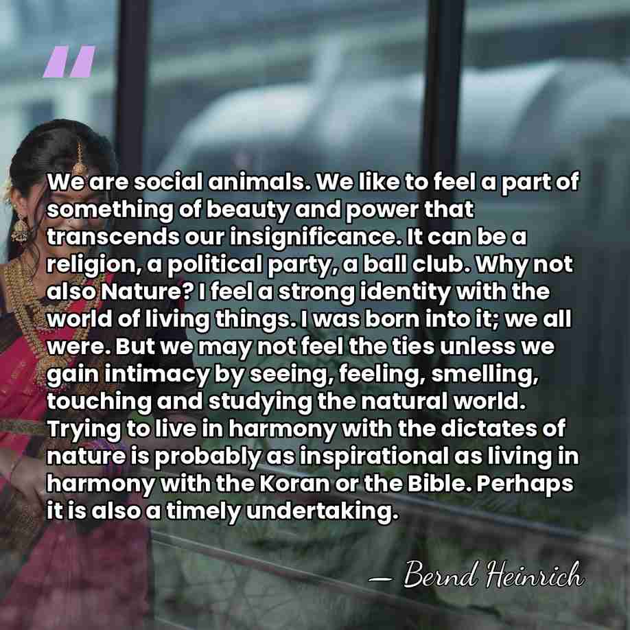 We are social animals. We like to feel a part of something&hellip; - Bernd Heinrich