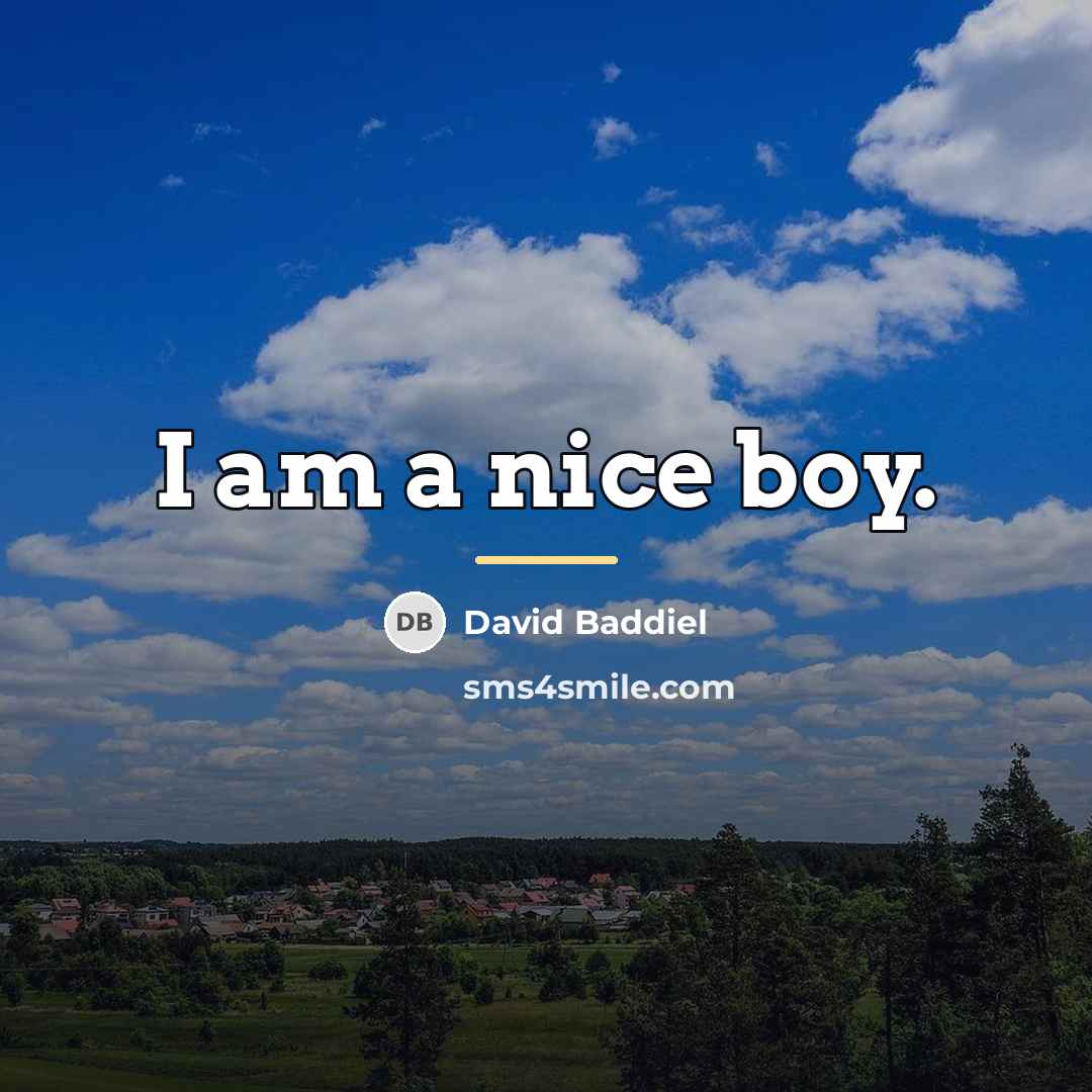 “I am a nice boy.…” quote by David Baddiel