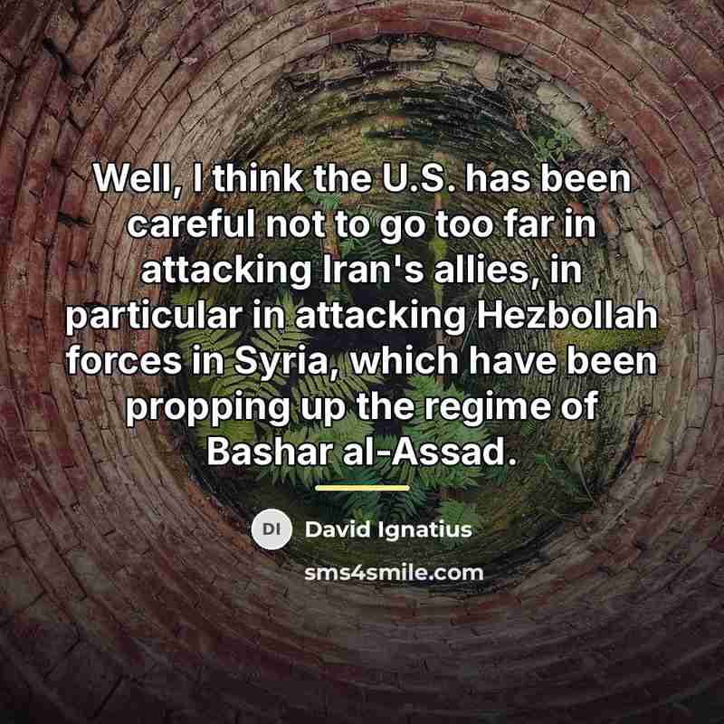 “Well, I think the U.S. has been careful not to…” quote by David Ignatius
