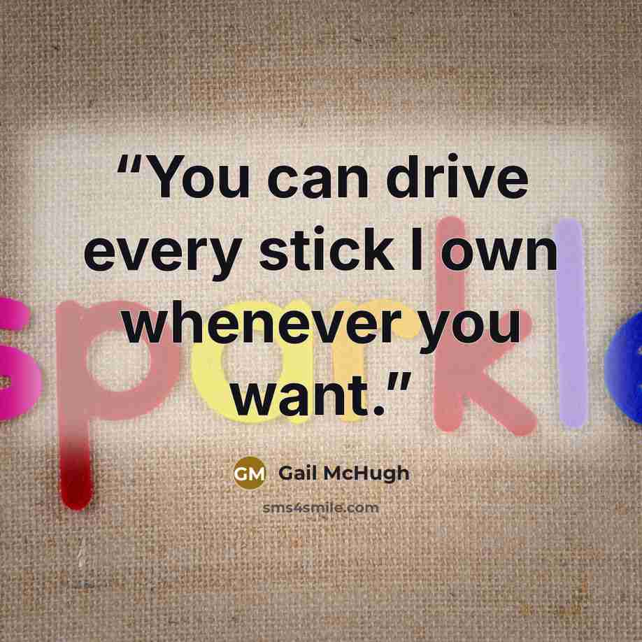 “You can drive every stick I own whenever you want.” quote by Gail McHugh