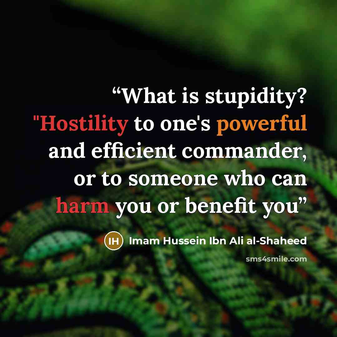 “What is stupidity? "Hostility to one's powerful and efficient commander, or to someone who can harm you or benefit you” quote by Imam Hussein Ibn Ali al-Shaheed