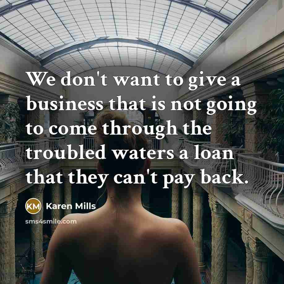 “We don't want to give a business that is not…” quote by Karen Mills