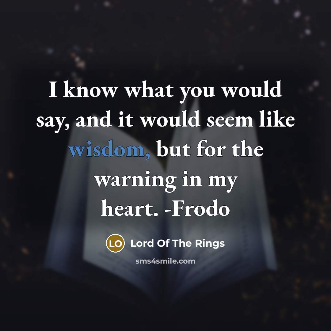 “I know what you would say, and it would seem…” quote by Lord Of The Rings