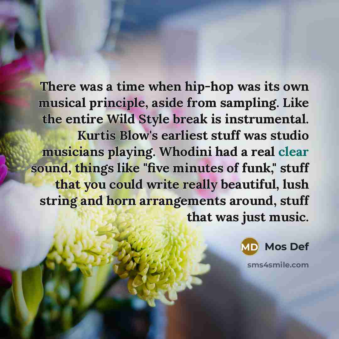 “There was a time when hip-hop was its own musical…” quote by Mos Def