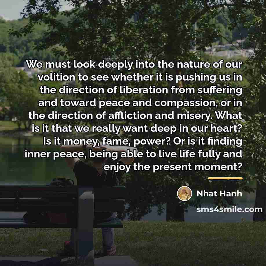 “We must look deeply into the nature of our volition…” quote by Nhat Hanh