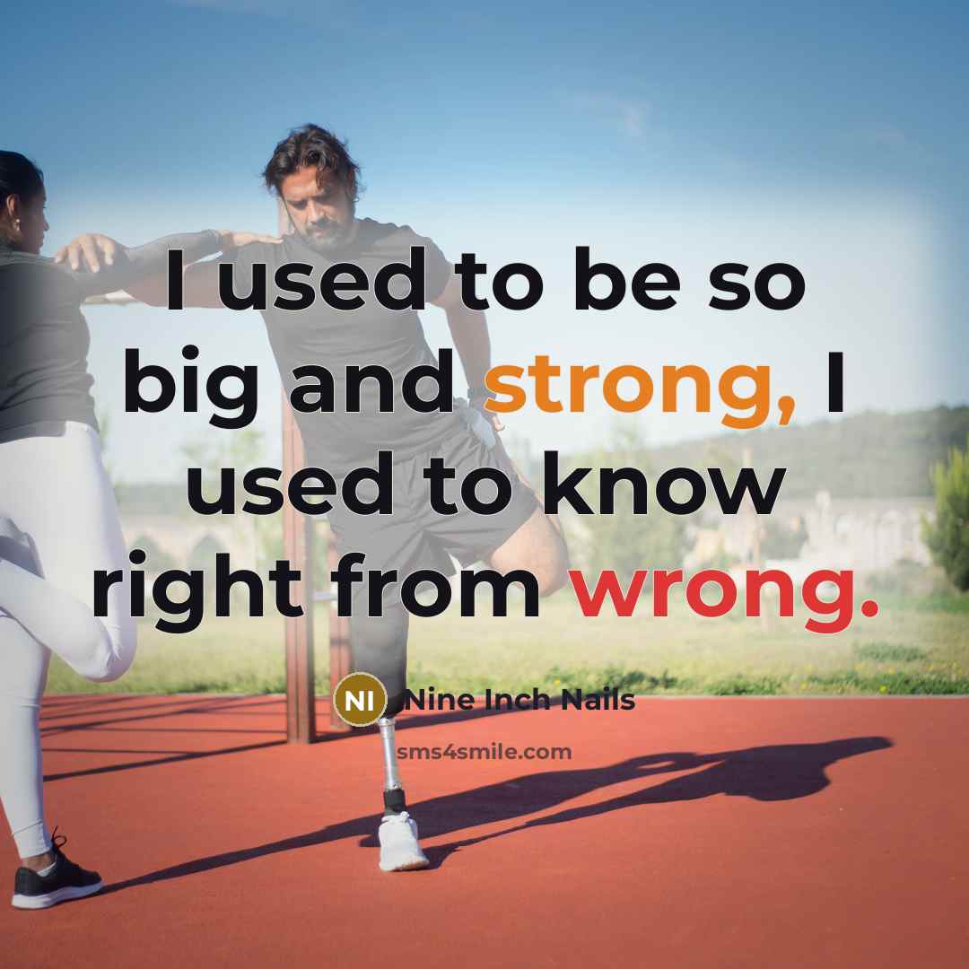 “I used to be so big and strong, I used…” quote by Nine Inch Nails