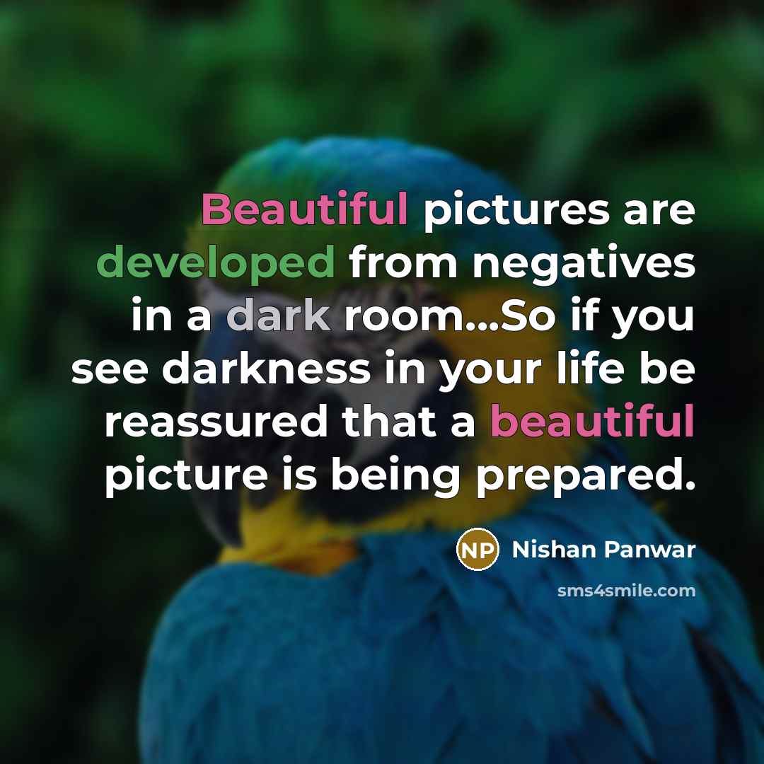 “Beautiful pictures are developed from negatives in a dark room...So…” quote by Nishan Panwar