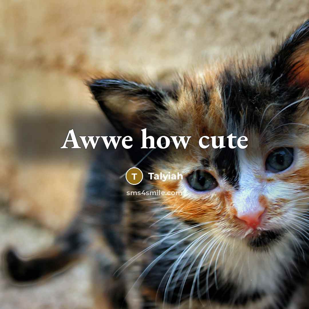 “Awwe how cute…” quote by Talyiah