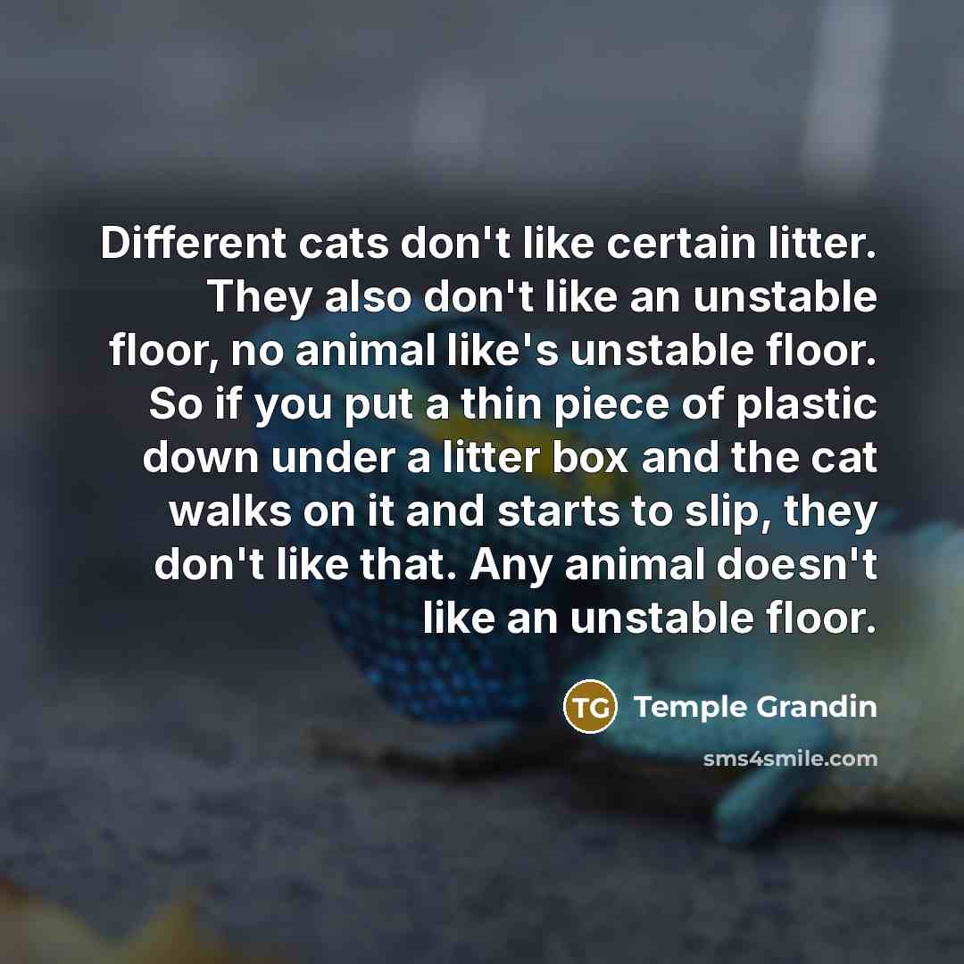 “Different cats don't like certain litter. They also don't like…” quote by Temple Grandin