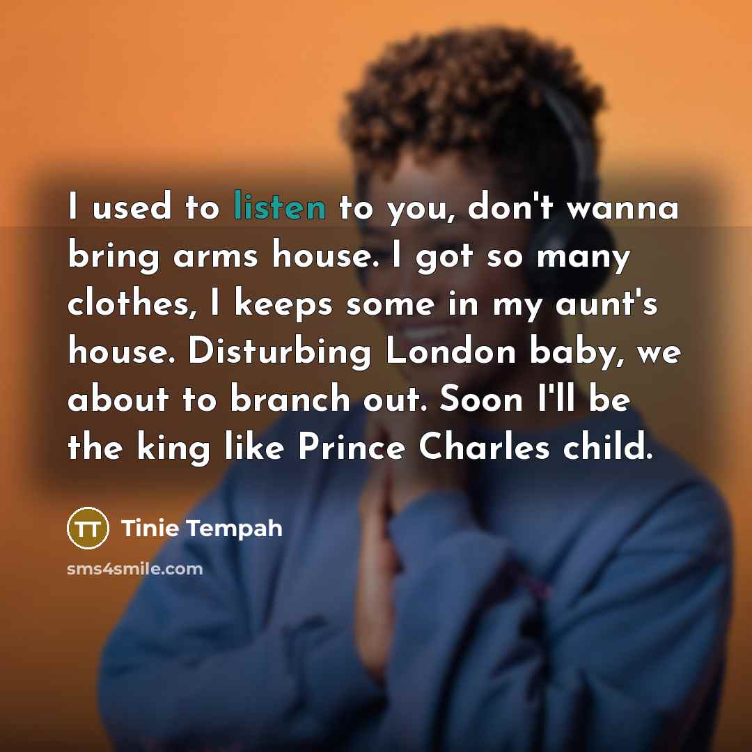 “I used to listen to you, don't wanna bring arms…” quote by Tinie Tempah